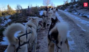 Promenade au cœur de l'Ariège avec des chiens de traineaux