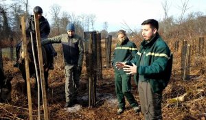 Vieux-Moulin. Les agents de l'ONF animaient un atelier sur la forêt