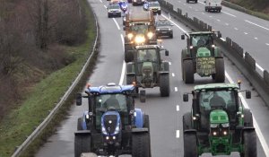 Fronde des agriculteurs français : normes et coût de la vie étouffent les exploitants