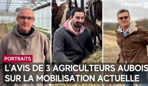Ce que pensent 3 agriculteurs aubois de la mobilisation actuelle