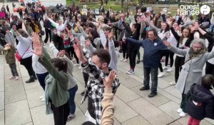 VIDÉO. À Vannes, flashmob et chorégraphies pour soutenir Trisomie 21 Morbihan