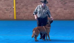 La dog dance, quand les maîtres dansent avec leurs chiens à Auchy-les-Mines