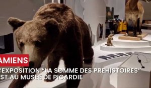 L'exposition La Somme des préhistoires au musée de Picardie a Amiens