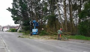La rue Saint-Gengoult à Montreuil-sur-Mer est interdite à la circulation à cause de l'abattage de deux arbres.