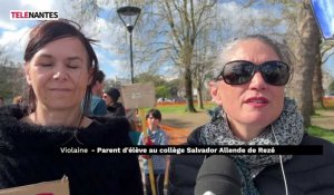 Nouvelle manifestation contre le "choc des savoirs" à Nantes