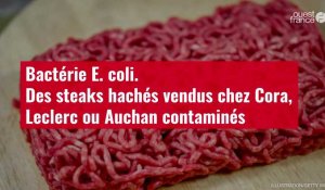 VIDÉO. Bactérie E. coli. Des steaks hachés vendus chez Cora, Leclerc ou Auchan contaminés