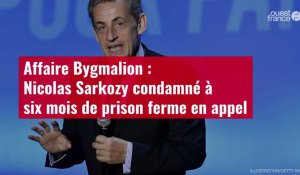 VIDÉO. Affaire Bygmalion : Nicolas Sarkozy condamné à six mois de prison ferme en appel