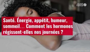 VIDÉO. Santé. Énergie, appétit, humeur, sommeil… Comment les hormones régissent-elles nos journées ?