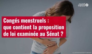 VIDÉO. Congés menstruels : que contient la proposition de loi examinée au Sénat ?