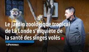 Le Jardin zoologique tropical de La Londe s’inquiète de la santé des singes volés 