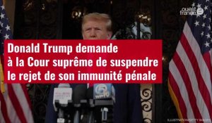 VIDÉO. Donald Trump demande à la Cour suprême de suspendre le rejet de son immunité pénale