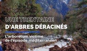 L'Arboretum victime de l'épisode méditerranéen