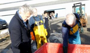 Opération séduction pour le PCF auprès des pêcheurs de Loctudy pour les européennes 