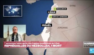 Liban : 7 morts après des frappes israéliennes