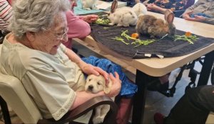 Gournay-en-Bray : des animaux à l'Ehpad grâce à l'élevage de Saint Samson