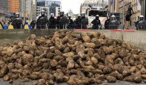 Les agriculteurs protestent à nouveau à Bruxelles alors que l'UE révise la PAC