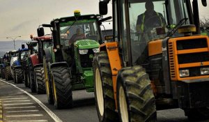 Les eurodéputés demandent de repenser la Politique agricole commune