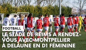 Stade de Reims - Montpellier : l’avant-match avec Amandine Miquel