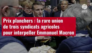 VIDÉO. Prix planchers : la rare union de trois syndicats agricoles pour interpeller Emmanuel Macron