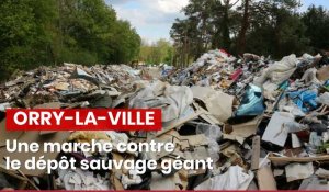 Orry-la-Ville : une marche le 14 avril contre l'immense dépôt sauvage