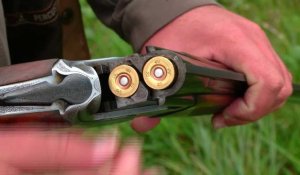 Fin des munitions au plomb : les chasseurs vont devoir remplacer leurs vieux fusils