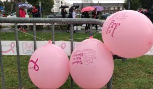 3200 participants à la balade Marais rose contre le cancer du sein