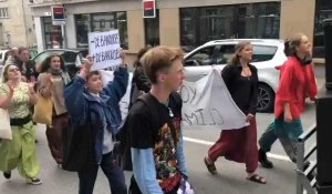 VIDÉO. À Vannes, une centaine de manifestants défilent pour le climat