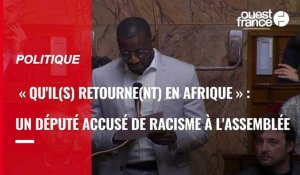 VIDÉO. « Qu'il(s) retourne(nt) en Afrique » : un député accusé de racisme à l'Assemblée nationale