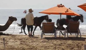 Soleil et prix bas : des retraités français font le choix de passer l'hiver au Maroc