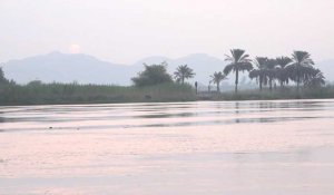 Menace sur le Nil : l’Égypte confrontée au manque d’eau