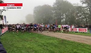 VIDÉO. C’est parti pour le 48e cross du Courrier de l’Ouest près d'Angers