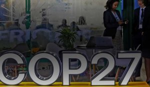 La COP27 s'ouvre en Egypte sur fond de crise énergétique