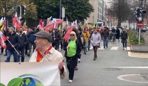 Une nouvelle marche pour le climat réunit cent cinquante personnes à Arras 