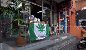 Tourisme de l'herbe : la Thaïlande, un nouvel eldorado pour les fumeurs de cannabis ?