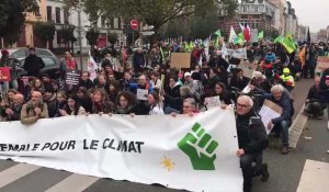Marche pour le climat : 500 personnes a Lille