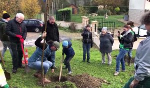 Plantation d'un verger dans le cadre du budget participatif, à Margny-lès-Compiègne, le 26 novembre 2022