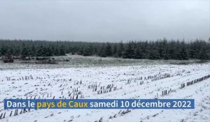 Premières neiges en Normandie