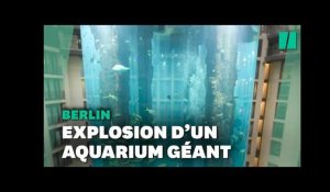 À Berlin, explosion du plus grand aquarium cylindrique au monde