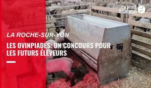 VIDEO.Les Ovinpiades, la finale régionale à La Roche-sur-Yon