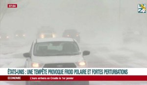 États-Unis : une tempête provoque un froid polaire et de fortes perturbations