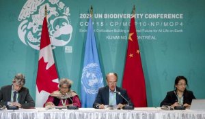 A la COP15 de Montréal, un accord historique en faveur de la biodiversité