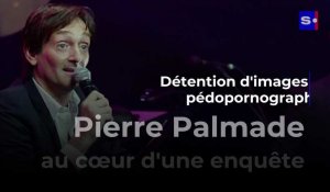 Pierre Palmade au cœur d'une enquête pour détention d'images pédopornographiques
