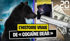 L'histoire vraie de « Cocaïne Bear »