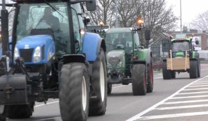  Des milliers d'agriculteurs flamands manifestent en tracteur à Bruxelles