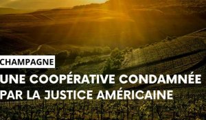 Champagne: la justice américaine condamne une coopérative marnaise à payer 2,3 millions de dollars