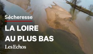 La Loire, victime de la sécheresse hivernale