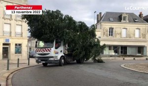 VIDÉO. Parthenay : le sapin de Noël est arrivé 