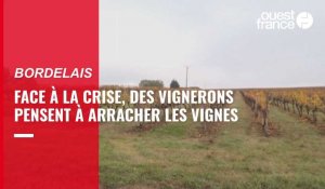 VIDÉO. Face à la crise, des producteurs de Bordeaux pensent à arracher les vignes