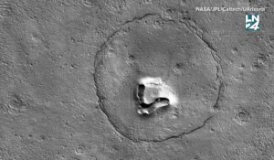 Une caméra capture un visage d'ours en peluche sur Mars
