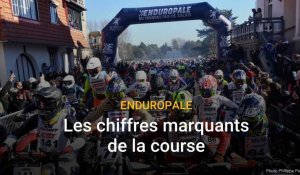 Enduropale 2023 : les chiffres marquants de l'épreuve